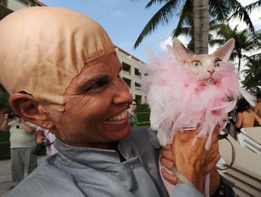 Pet Masquerade and Parade 2009 photo - Duval Street, Key West